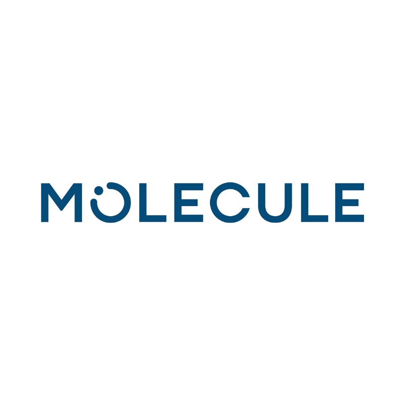 MOLECULE brand logo, shown as an authorized MOLECULE mattress dealer.